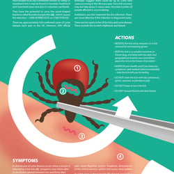 2016−1HAS-Plant-Lyme-Services Page 2