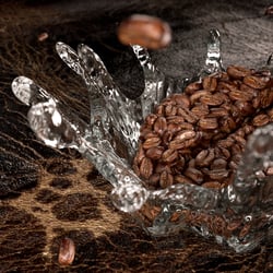 Kaffebohne