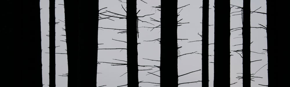 trees