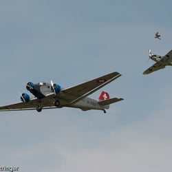Flugshow – mit Vogel … Weiße Möwe Wels 2009