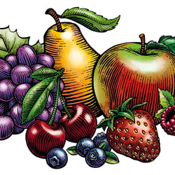 Holzschnitt Obst