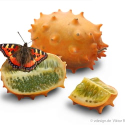 Kiwano, Illustration, Food, Verpackung