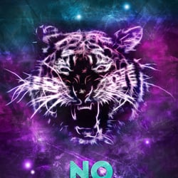 No Fear – 2015