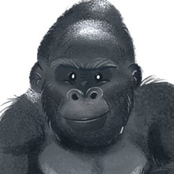 Character Design, Konzept