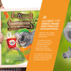 Koala für Zoo Dresden