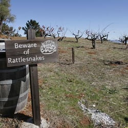 Montebello-Rattlesnake