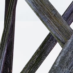 Crosslines XVIII