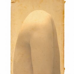 Studie 010