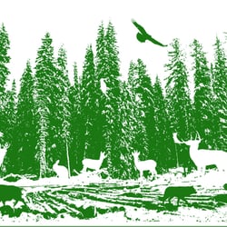 Geschenkpapier „Wald“