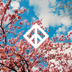 SquarePeace