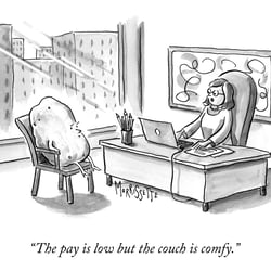 Potato Job Interview