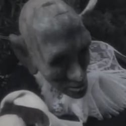 Videostill „Riverbank“