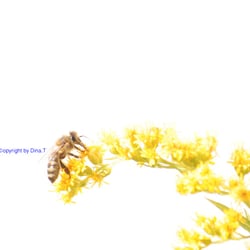 Nature 2014 – Foto  Übung