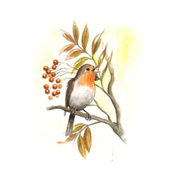 Illustration  für Becherdekor- Aquarell