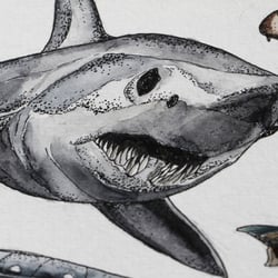 Hai-Illustrationen für das ARTE Magazin