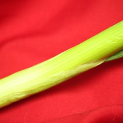 Food Photography 2012