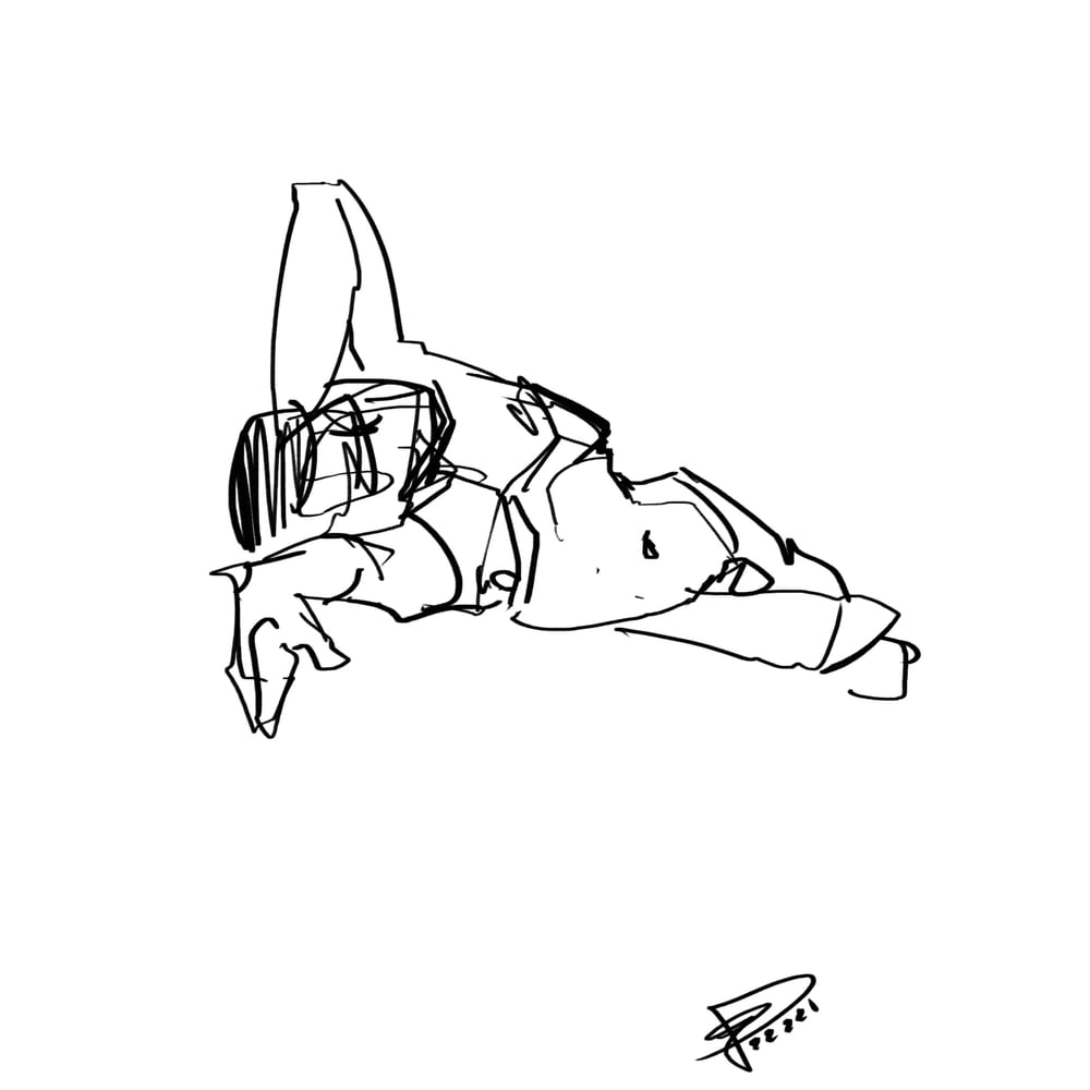 Anatomie