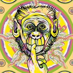 Monkeyhead 10, fineartprint 30 × 30 cm (variable)