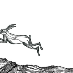Detail Entwurf Folder The Molehill Mountaineers