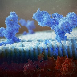 Ebola