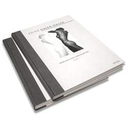 Heinz Hajek Halke – Form aus Licht und Schatten