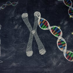 Epigenetik_1