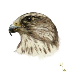 Tierplakat
