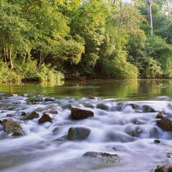 Mitterwasser