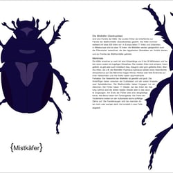 Info Käfer