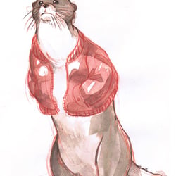 Der Otter mit der Bomberjacke