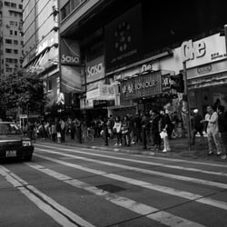 IMG 7547
