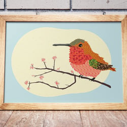 Bird