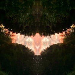 Spiegelbild