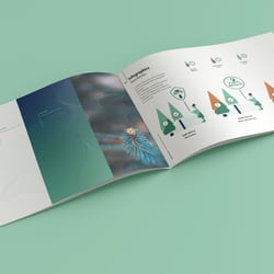 styleguide 2