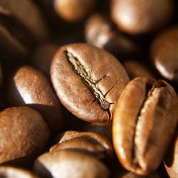 Kaffeebohnen