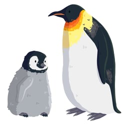 penguin