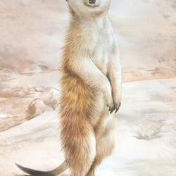 “ERDMANN” Tierportrait – Aquarell