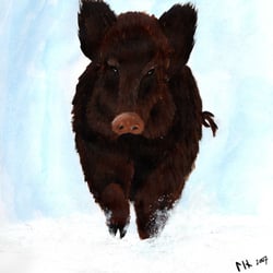 Wildschwein