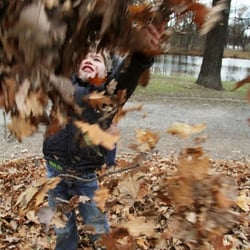 herbst