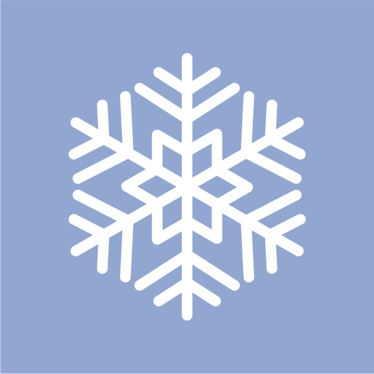 Constanze Schnee