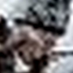clip image003