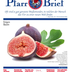 Pfarrbrief St. Martin Wegberg Juli August 2014
