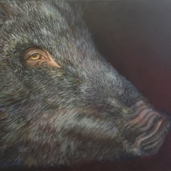 wildDSC03504