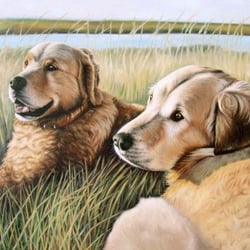 Two Golden Retriever – Öl auf Leinwand