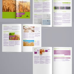 Dokumentation der Abschlussprüfung (Layout & Gestaltung in InDesign)