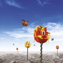tulpenwelt