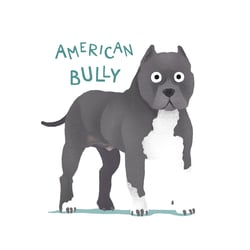 American Bully