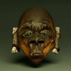 Head_front close up