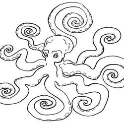 Gib immer gut Acht | Dass du keinem Oktopus | In die Arme fällst!