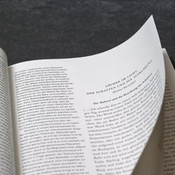 Schatten. Das Fremde im Vertrauten